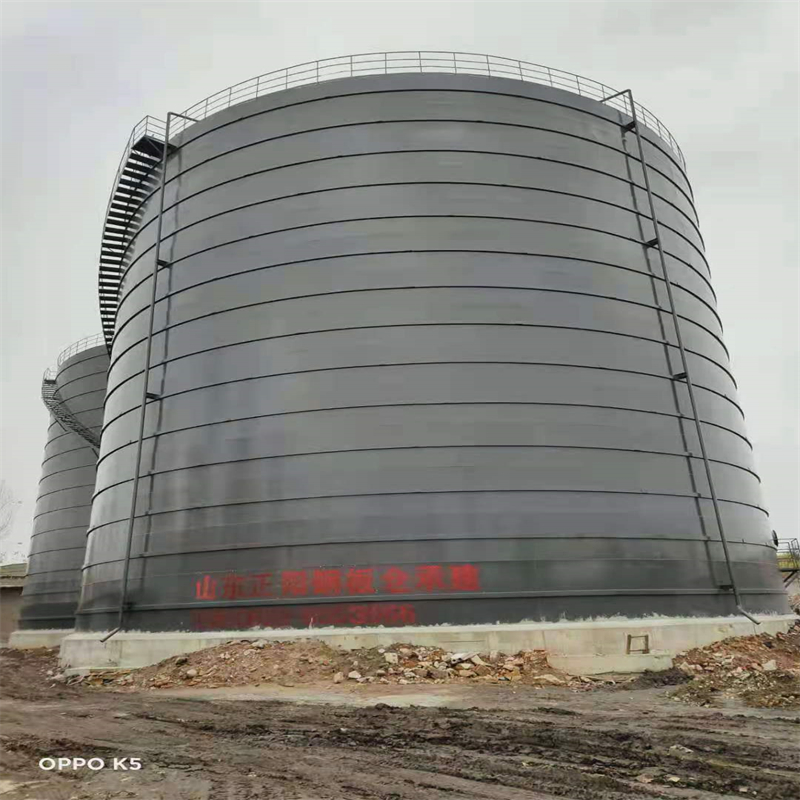 南票3万吨大型钢板库